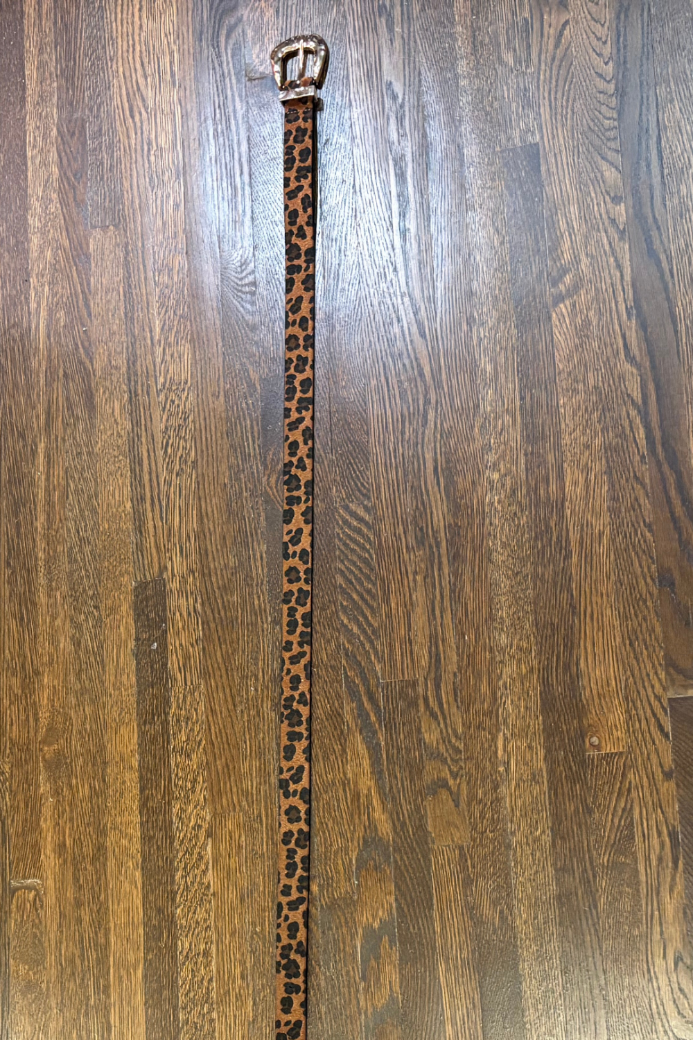 Leopard Belt with Gold Hardware - FINAL SALE