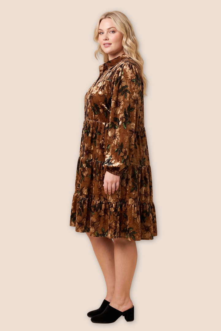 Lilian Long Sleeve Floral Velvet Dress